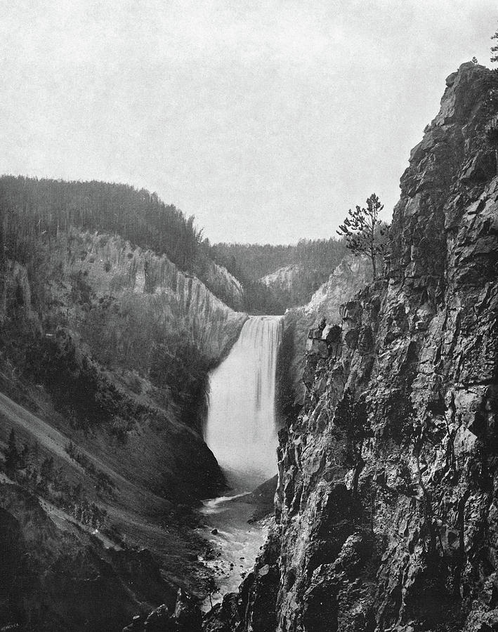 Lower Yellowstone Falls Photograph by Granger - Fine Art America