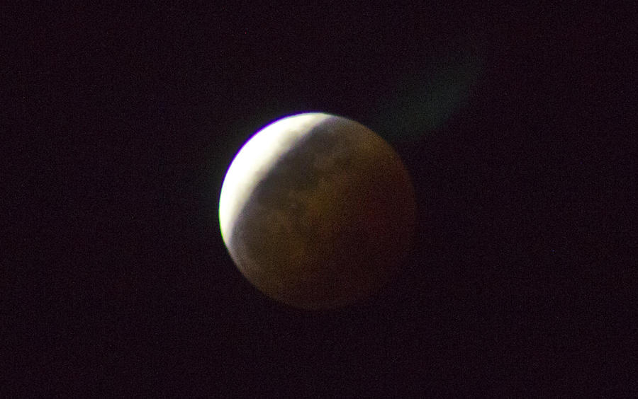 Luna Eclipse #1 Photograph by Debbie Cundy