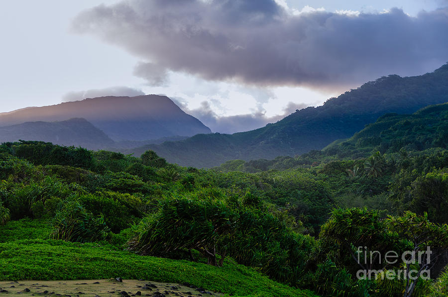 Lush tropical valley on the Road to Hana Maui Hawaii USA #1 Photograph by Don Landwehrle
