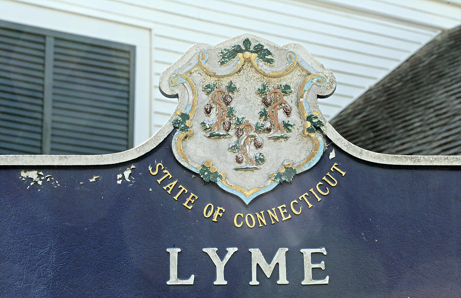 Lyme, Ct, Town Eponymous With Lyme #1 Photograph by Science Stock Photography