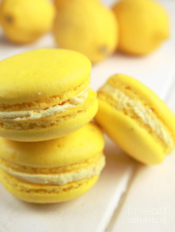Cake Photograph - Macarons #1 by Isabel Poulin