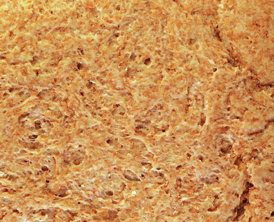 Macrophoto Of Bread Dough Rising During Baking #1 Photograph by Adam Hart-davis/science Photo Library