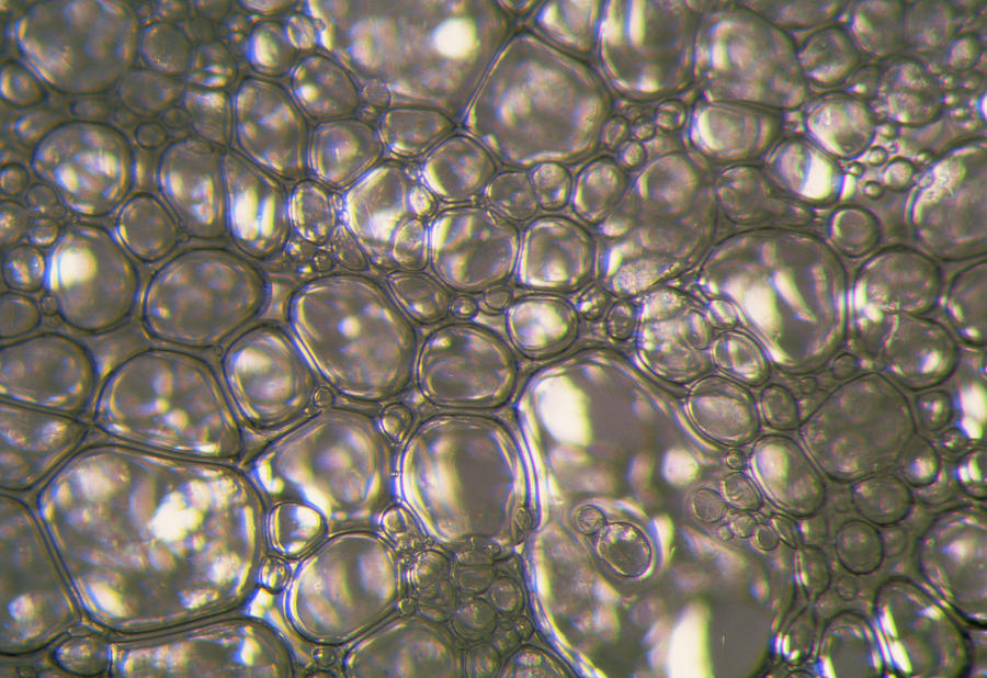 Macrophotograph Of Air Bubbles In Beaten Egg White #1 Photograph by Pascal Goetgheluck/science Photo Library