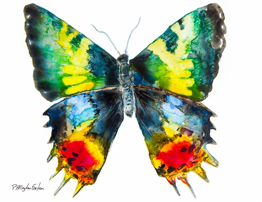 Madagascan Sunset Moth #1 Mixed Media by Patricia Allingham Carlson