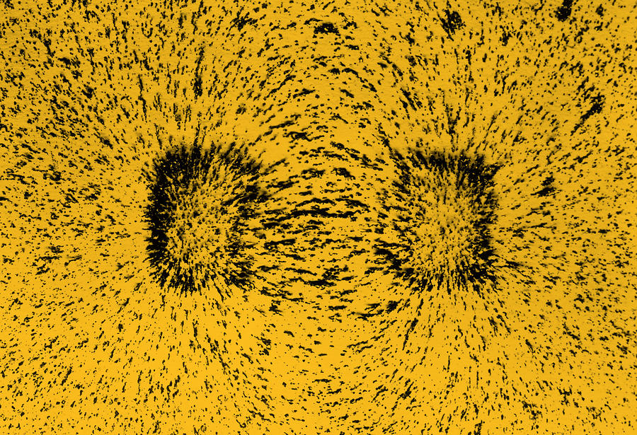 Magnetic Field #1 Photograph by Bell Labs/Science Source