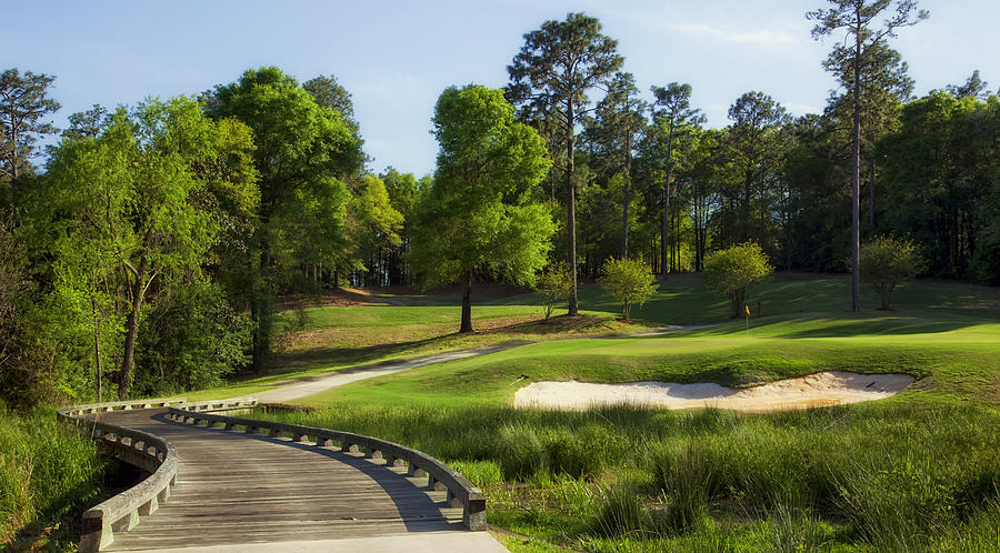 Tree Photograph - Magnolia Golf Course - Mobile Alabama #1 by Mountain Dreams