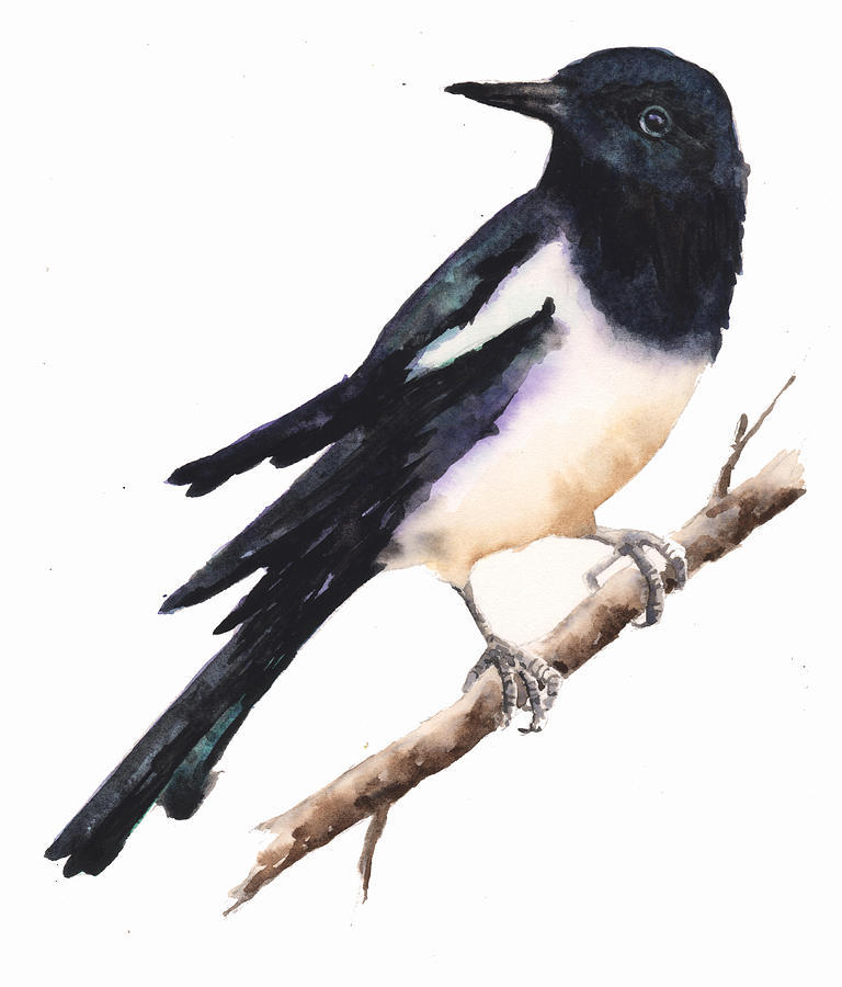 Magpies Painting - Magpie Painting #1 by Alison Fennell
