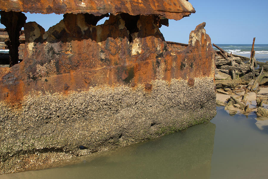 Maheno Shipwreck #1 Digital Art by Carol Ailles
