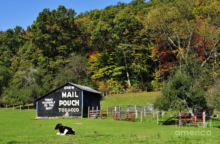 Mail Pouch Barn #1 Photograph by Thomas R Fletcher