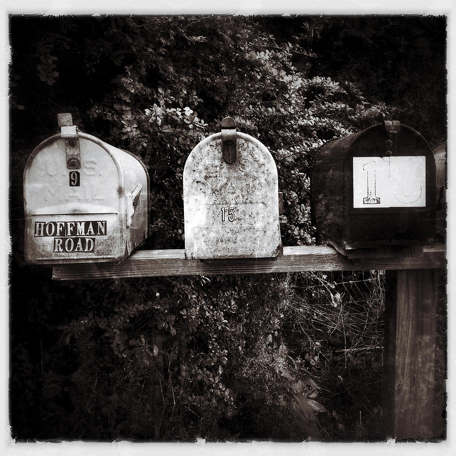 Mailboxes #2 Photograph by Natasha Marco