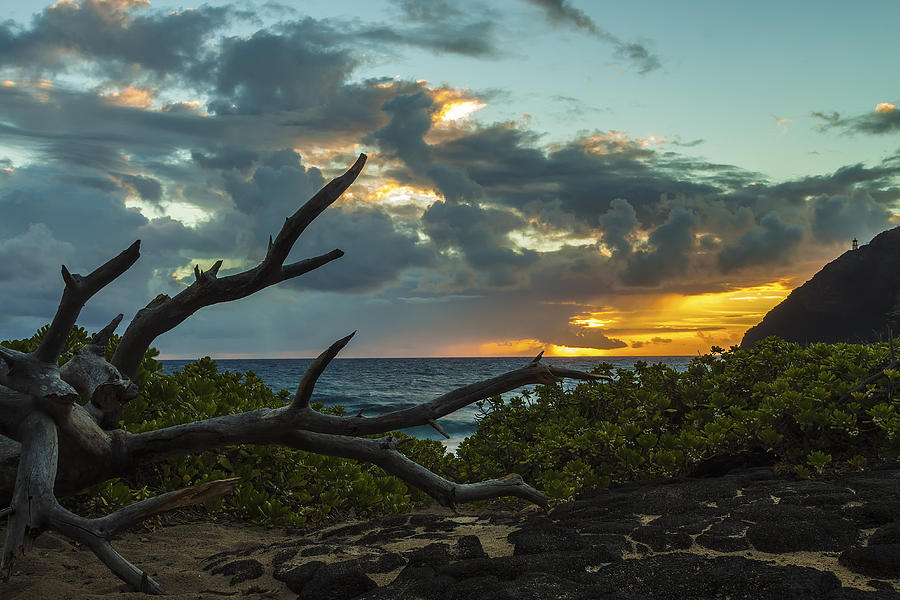 Makapuu Sunrise 5 #1 Photograph by Leigh Anne Meeks