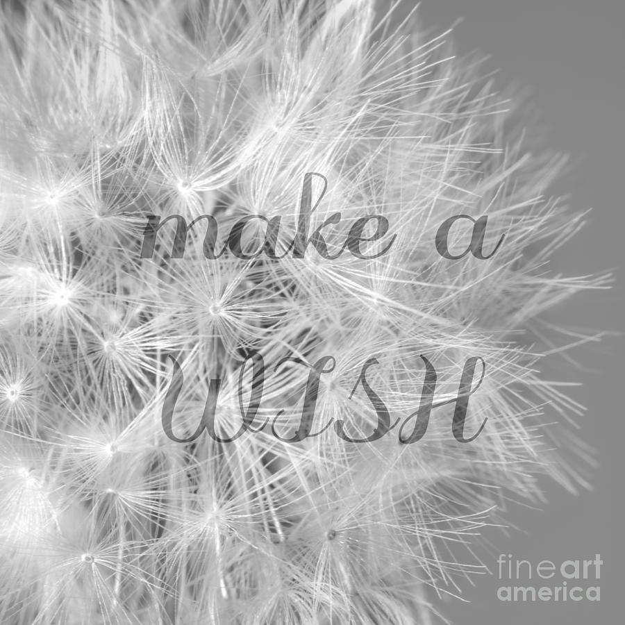 Make A Wish #1 Photograph by Lucid Mood