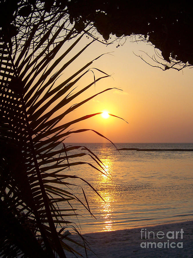 Nature Photograph - Maldivian sunset #2 by Deborah Benbrook
