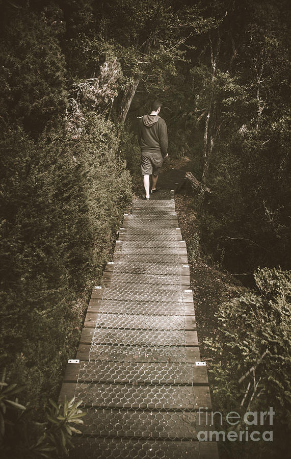 Male hiker walking on a rainforest wooden bridge #1 Photograph by Jorgo Photography