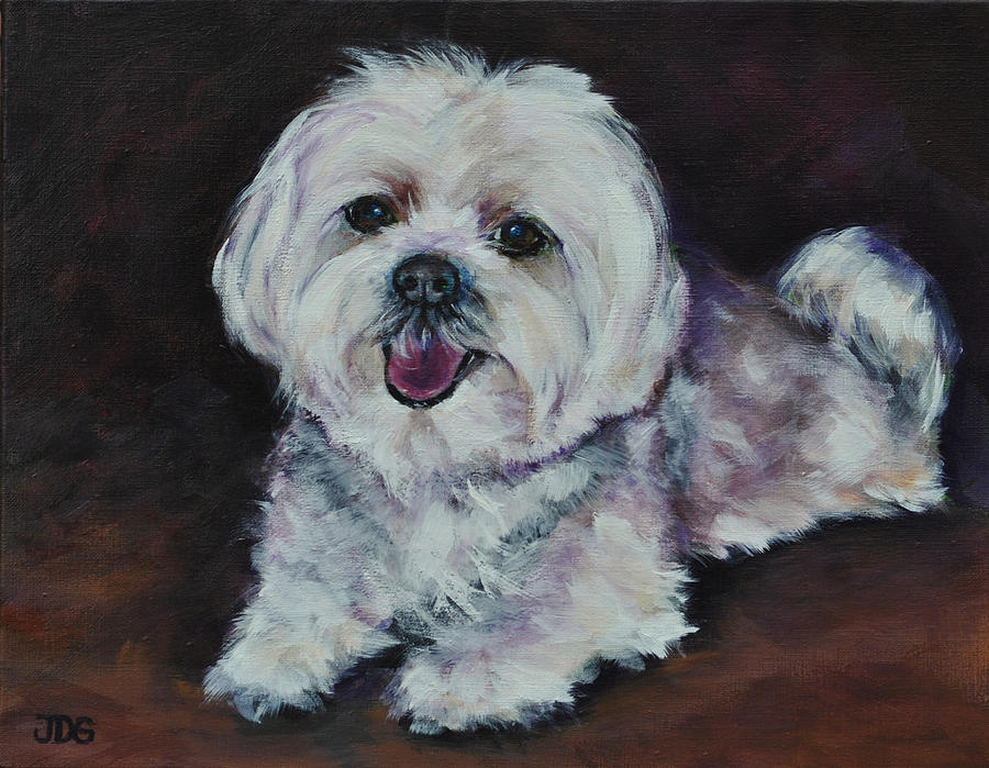 Pet Portrait Painting - Maltese #2 by Julie Dalton Gourgues