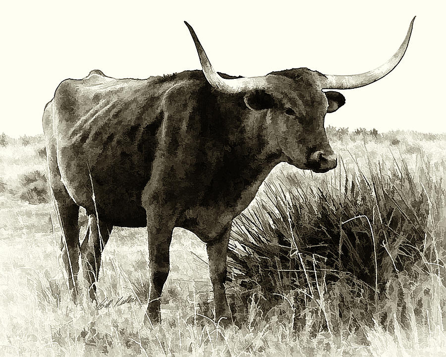 Cow Photograph - Mama Longhorn by Bill Kesler