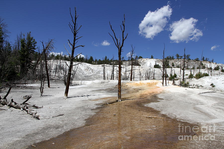 Mammoth Hot Spring Area #1 Photograph by Christiane Schulze Art And Photography