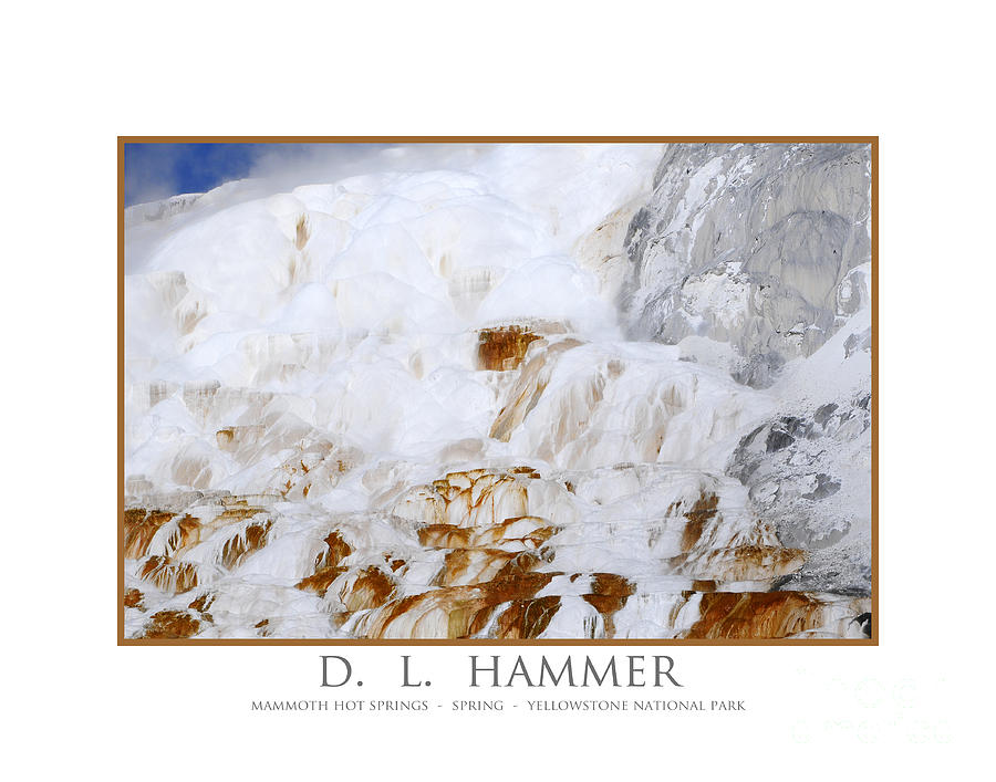 Mammoth Hot Springs Geyser #1 Photograph by Dennis Hammer