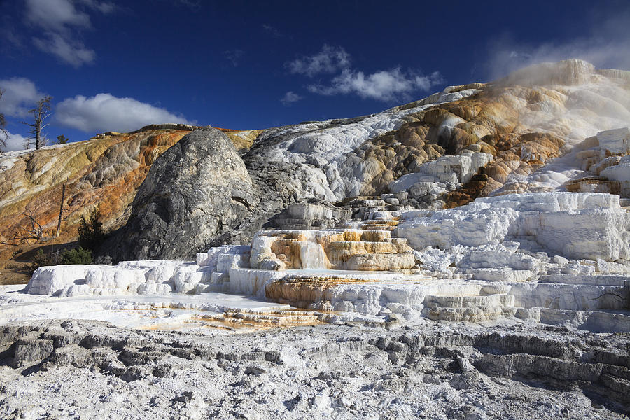 Mammoth Hot Springs Yellowstone Wyoming #1 Photograph by Duncan Usher