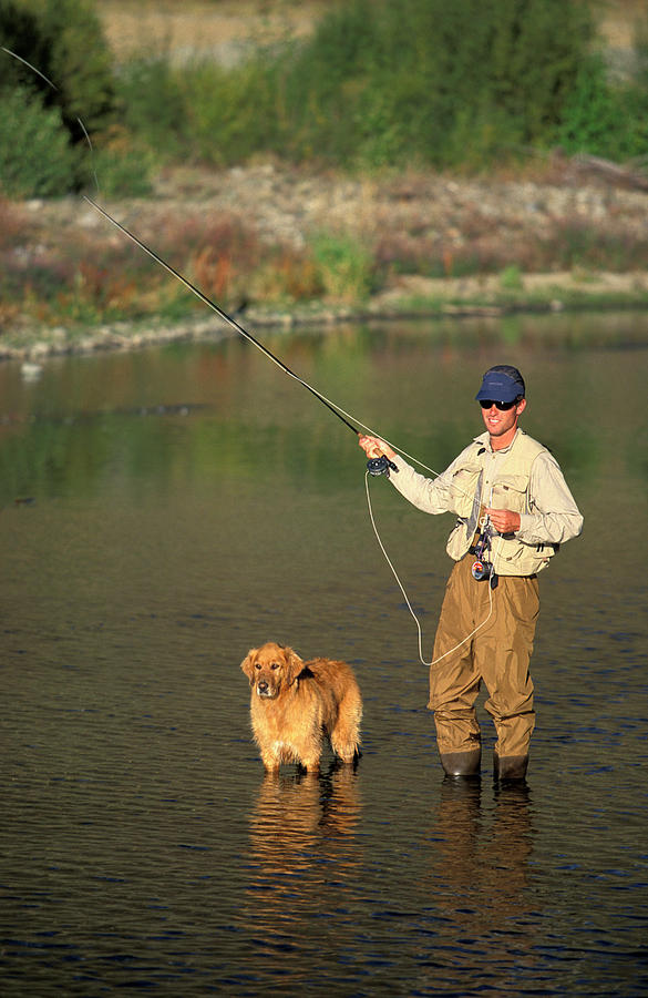 Dog Photograph - Man And Dog Fly Fishing On Silver #1 by Corey Rich