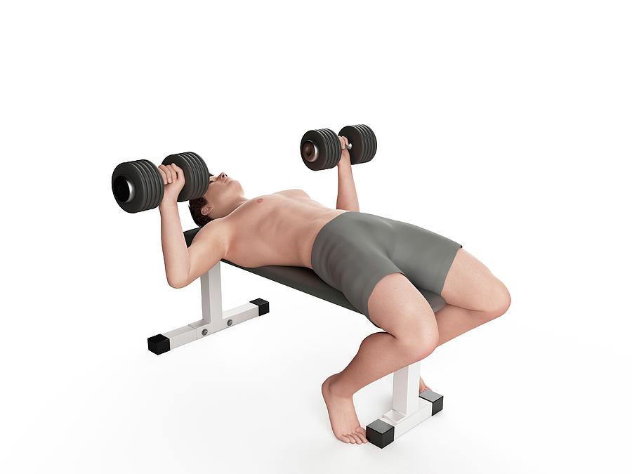 Bench press Cut Out Stock Images & Pictures - Alamy