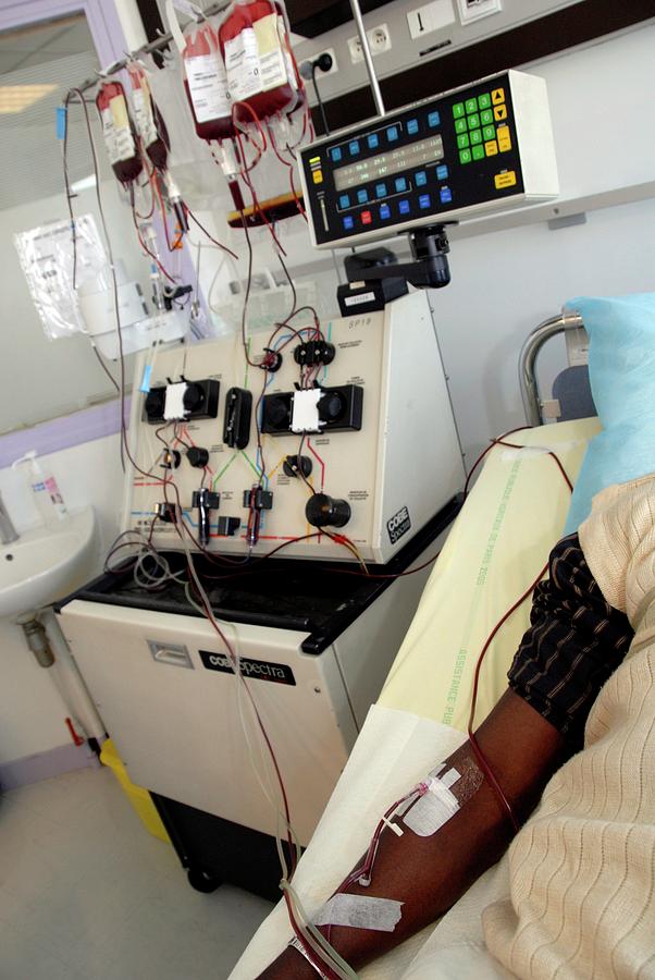 Man Donates Blood Platelets #1 Photograph by Aj Photo/science Photo Library