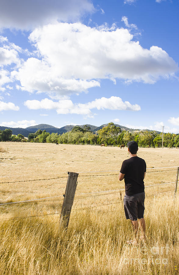 Nature Photograph - Man watching cattle on an Australian country farm #1 by Jorgo Photography