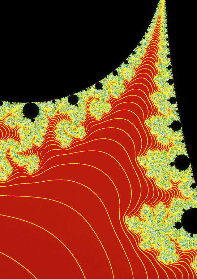 Fractals Photograph - Mandelbrot Set:- Dragons Tail #1 by Gregory Sams/science Photo Library