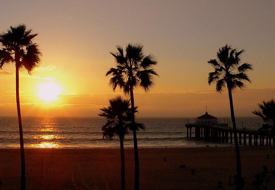 Manhattan Beach Pier and Palms at Sunset #1 Photograph by Jeff Lowe