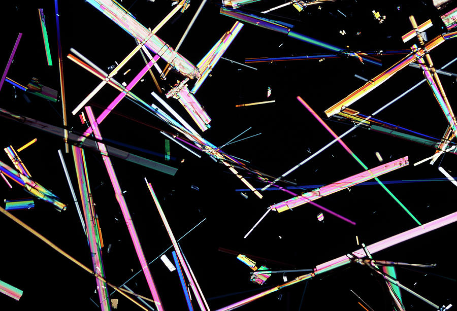 Mannitol Crystals Photograph by Sidney Moulds/science Photo Library ...