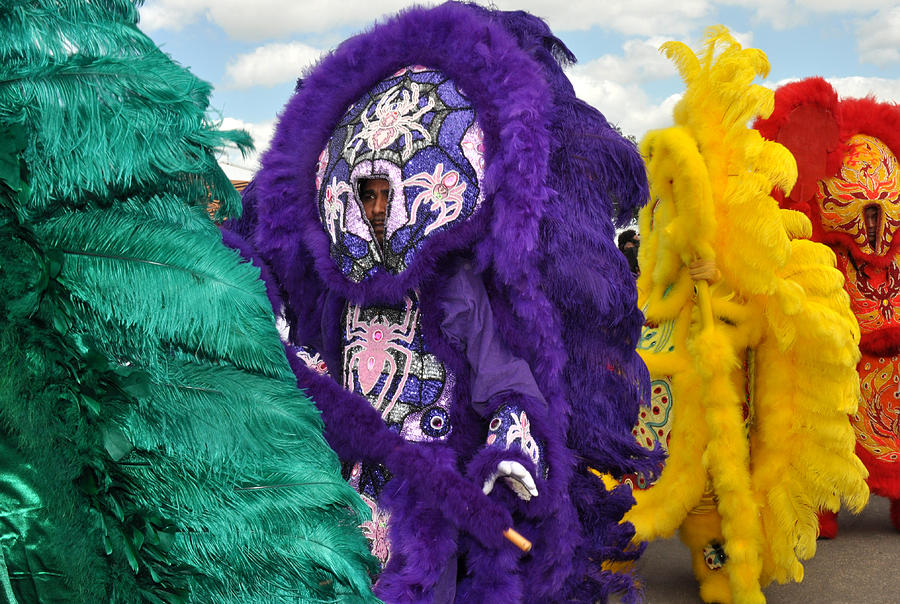 Mardi Gras Indians #2 Photograph by Diane Lent