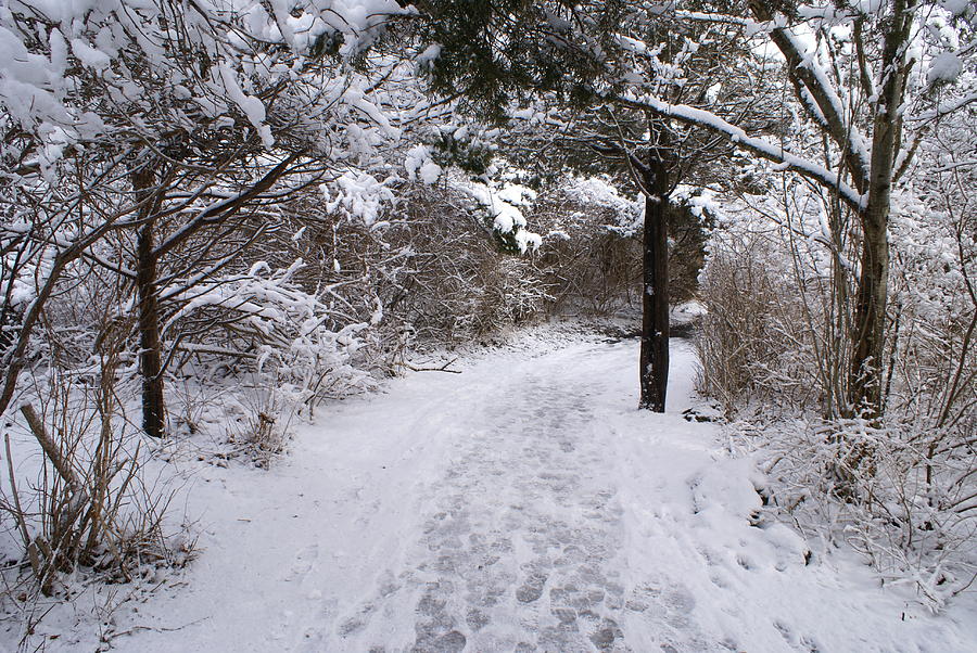 Marginal Way Photograph - Marginal Way in Winter 2 by Paul Lavoie Marginal Way Photograph - Marginal Way in Winter 2 by Paul Lavoie