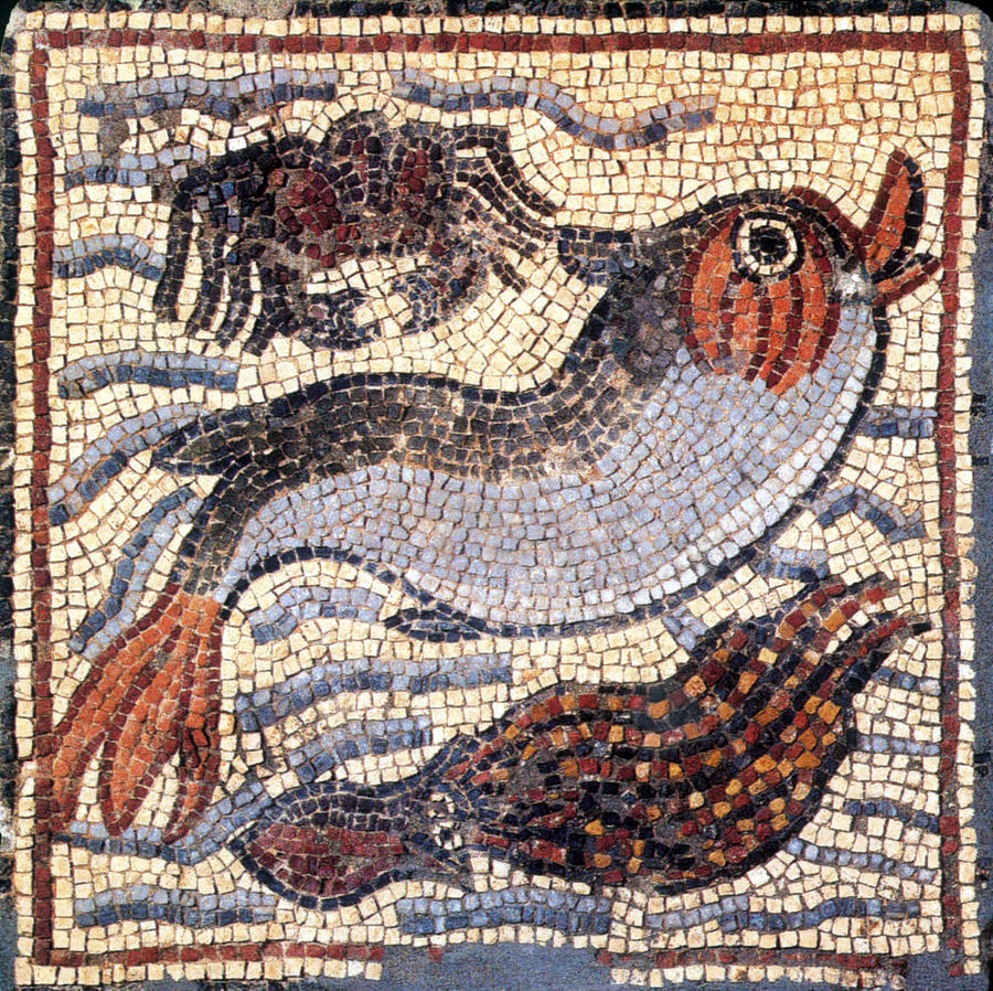 Marine Fauna, Byzantine Mosaic, 6th #1 Photograph by Science Source