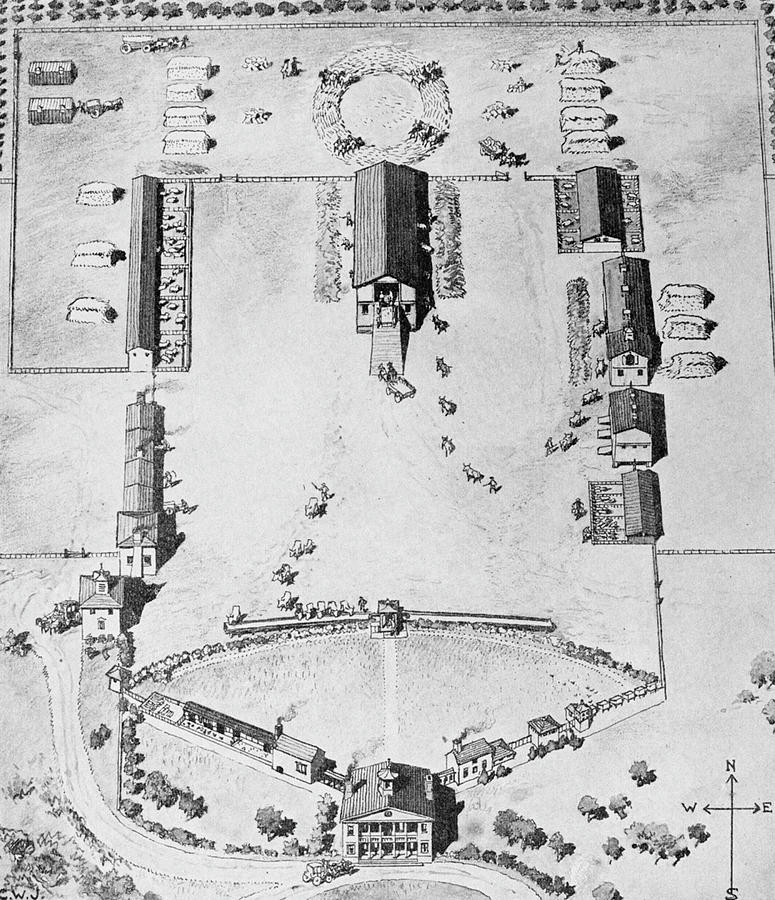 Maryland Plantation #1 Drawing by Granger Maryland Plantation #1 Drawing by Granger