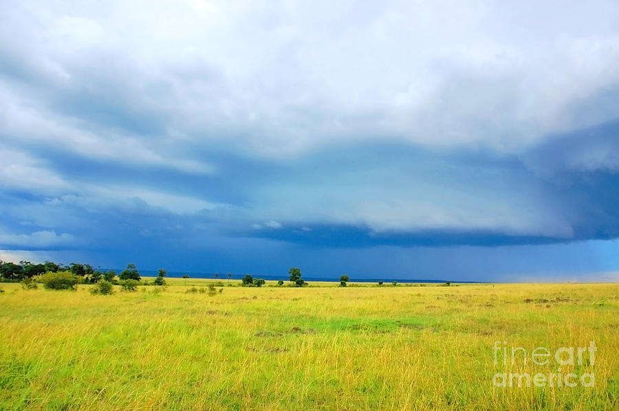 Masai Mara Kenya #1 Photograph by Charuhas Images