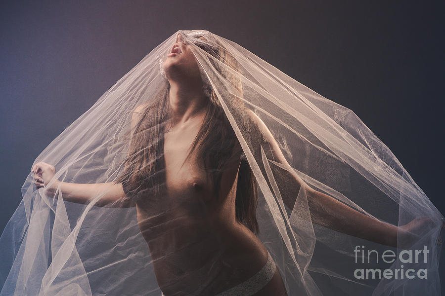 Nude Photograph - Masked Sheer Nude #1 by Jt PhotoDesign