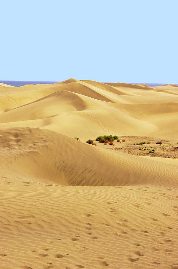 Maspalomas Sand Dunes. #1 Photograph by Mark Williamson/science Photo Library