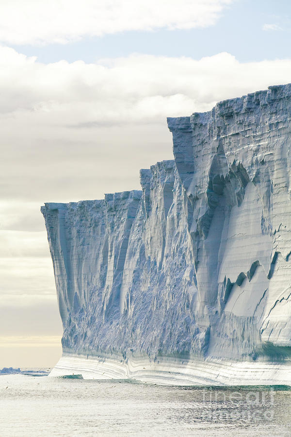 Massive Iceberg South Georgia Photograph by Yva Momatiuk John Eastcott