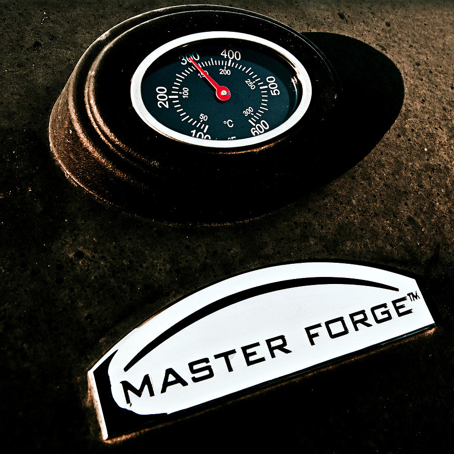 Master Forge #1 Photograph by Sennie Pierson