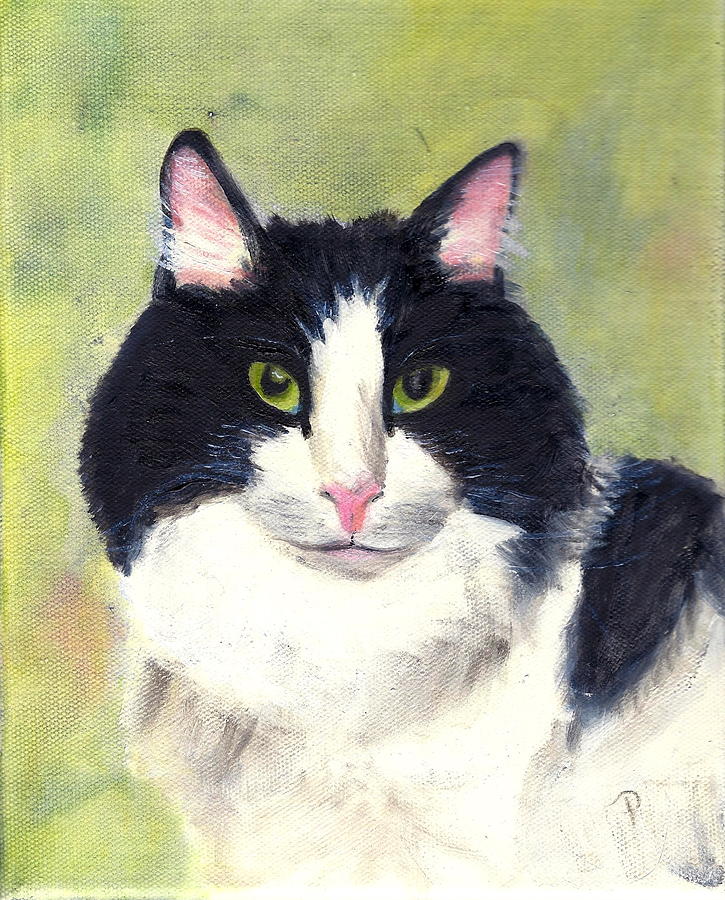 Cat Painting - Matthew by Paula Emery
