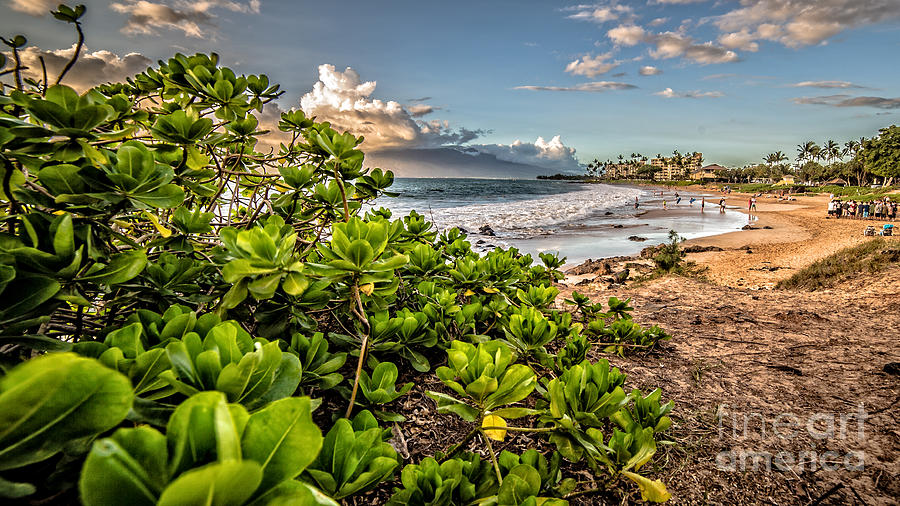 Maui Hawaii #1 Photograph by Edward Fielding