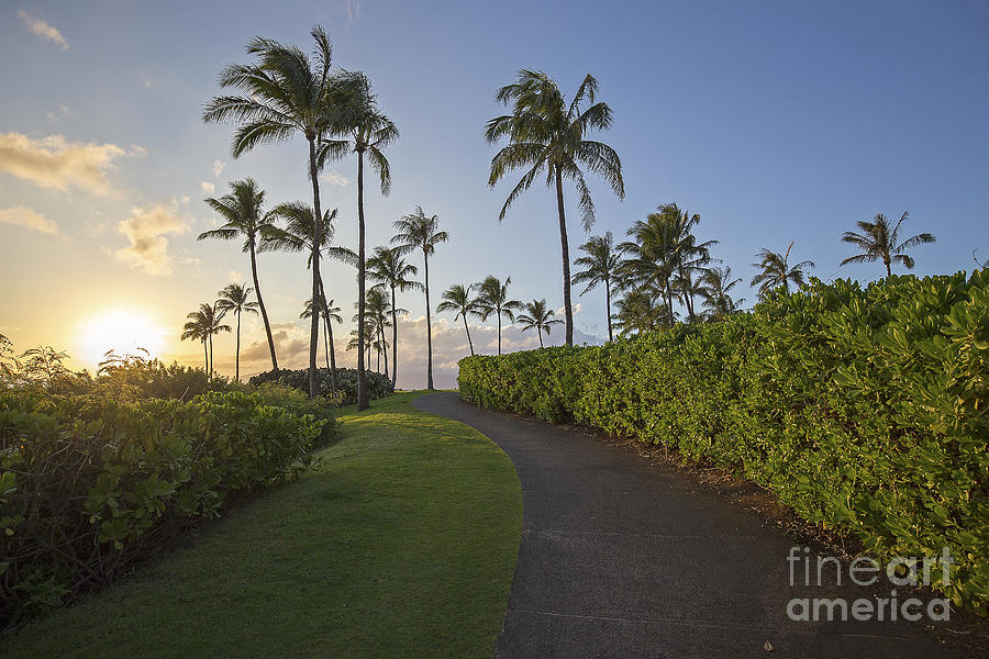 Nature Photograph - Maui #1 by Shishir Sathe