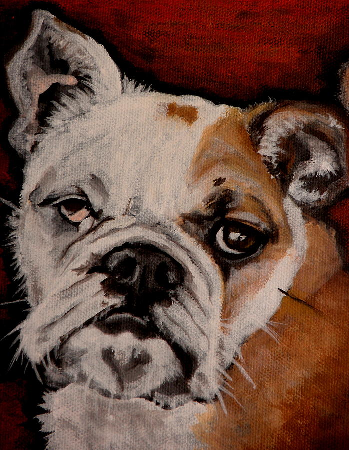 Bulldog Portrait Painting - Max #1 by Carol Russell