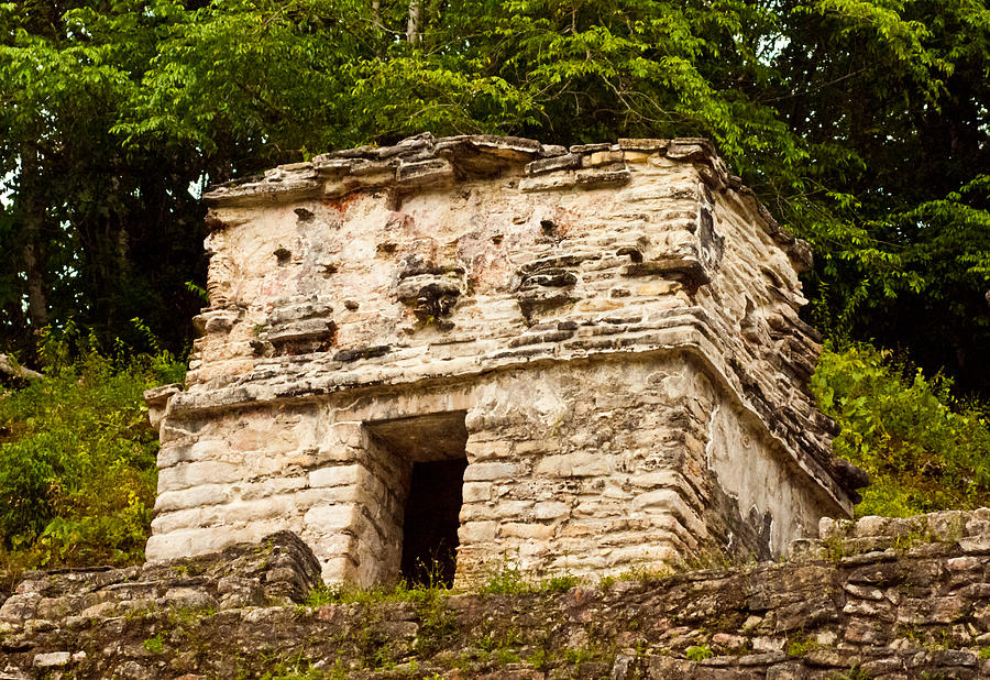 Mayan Temple Ruin #2 Photograph by James Gay
