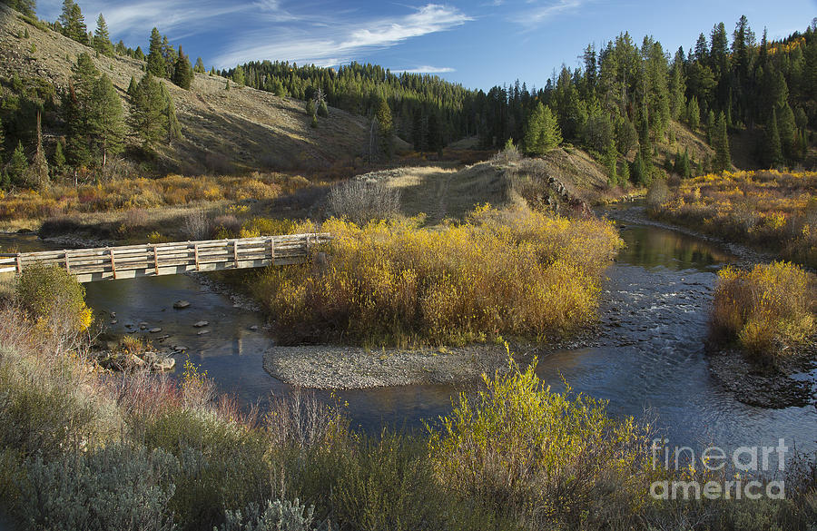 McCoy Creek #1 Photograph by Idaho Scenic Images Linda Lantzy