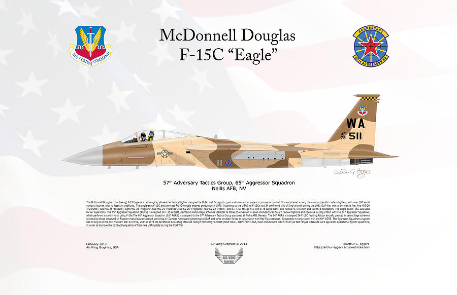 McDonnell Douglas F-15C Eagle FLAG BACKGROUND Digital Art by Arthur Eggers
