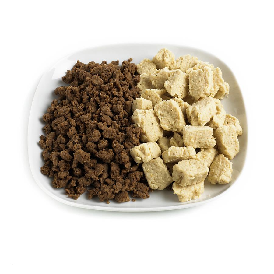 Meat Substitutes #1 Photograph by Science Photo Library Meat Substitutes #1 Photograph by Science Photo Library