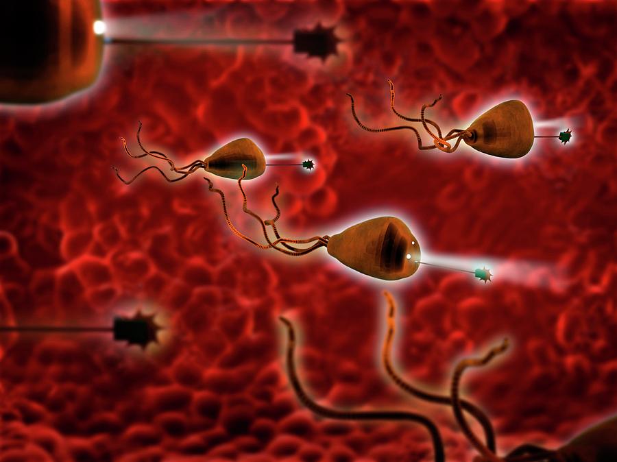 Medical Nanorobots Photograph By Tim Vernon Science Photo Library Fine Art America 