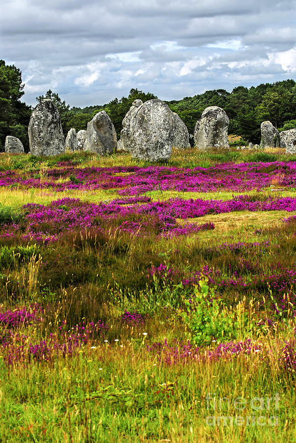 Megalithic monuments in Brittany 2 Photograph by Elena Elisseeva