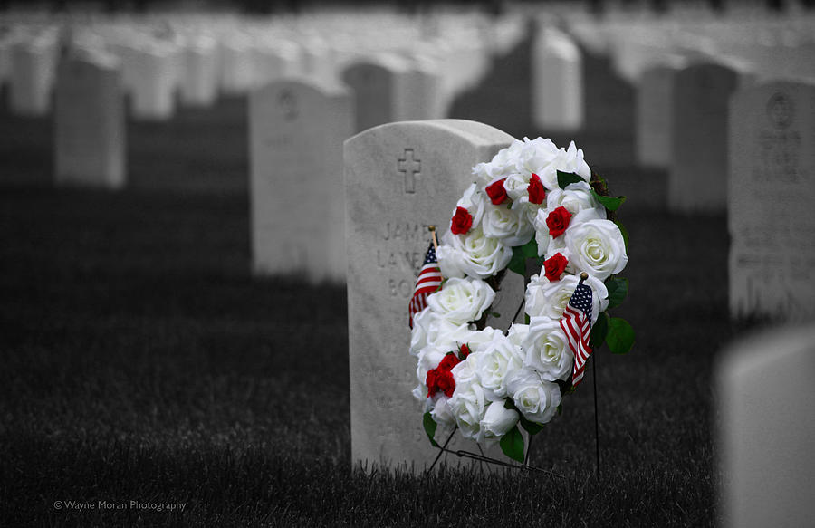 Memorial Day Remembering Those Who Gave The Ultimate Sacrifice #1 Photograph by Wayne Moran